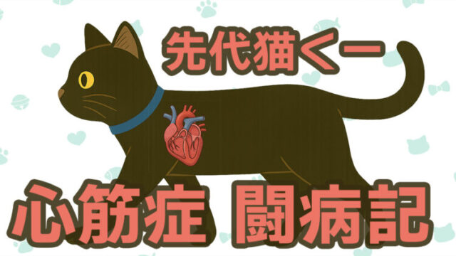 青い首輪をつけた黒猫くーのイラスト。胸には心臓のイラストが描かれ、文字で『先代猫くー 心筋症 闘病記』と書かれている