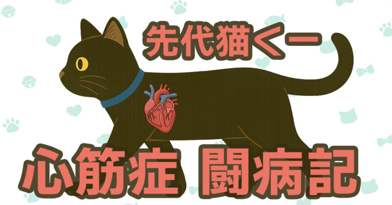 青い首輪をつけた黒猫くーのイラスト。胸には心臓のイラストが描かれ、文字で『先代猫くー 心筋症 闘病記』と書かれている