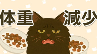 猫の体重減少をテーマにしたイラスト。食欲がなく元気のない黒い長毛猫とキャットフードの皿が描かれている