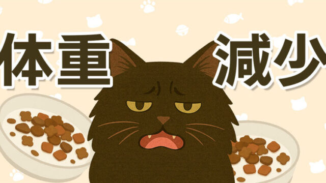 猫の体重減少をテーマにしたイラスト。食欲がなく元気のない黒い長毛猫とキャットフードの皿が描かれている