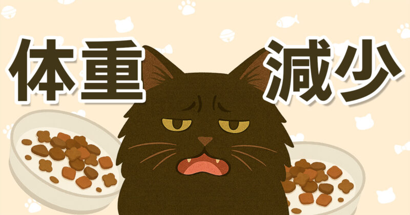猫の体重減少をテーマにしたイラスト。食欲がなく元気のない黒い長毛猫とキャットフードの皿が描かれている