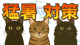 猫の猛暑対策を紹介するアイキャッチ画像。保護猫の黒猫くう、キジトラのジジ、長毛黒猫むーが並んで夏の暑さ対策を伝えるイラスト。