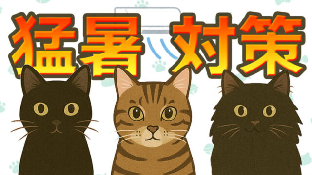 猫の猛暑対策を紹介するアイキャッチ画像。保護猫の黒猫くう、キジトラのジジ、長毛黒猫むーが並んで夏の暑さ対策を伝えるイラスト。