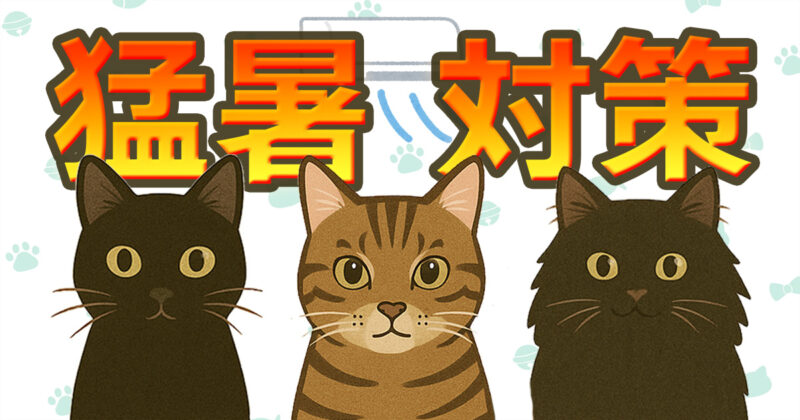 猫の猛暑対策を紹介するアイキャッチ画像。保護猫の黒猫くう、キジトラのジジ、長毛黒猫むーが並んで夏の暑さ対策を伝えるイラスト。