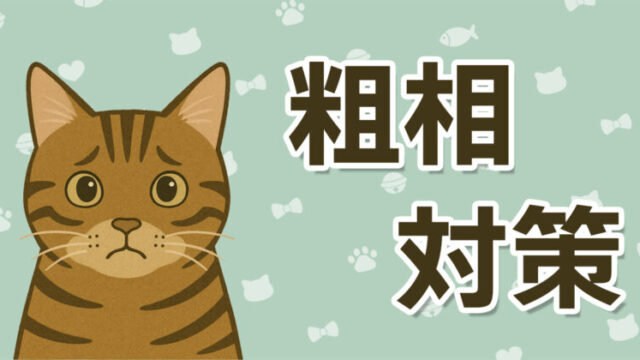 保護猫ジジの粗相体験談｜縄張り争いかと思いきや猫砂が原因だったイラスト