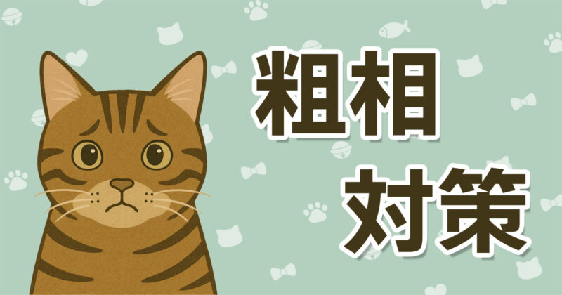 保護猫ジジの粗相体験談｜縄張り争いかと思いきや猫砂が原因だったイラスト