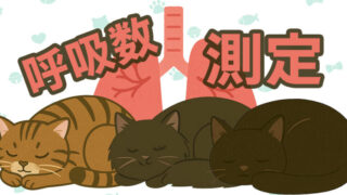 猫の呼吸数測定を解説するブログ用イラスト。眠っている3匹の猫と肺のイラストが描かれ、安静時の呼吸数やシニア猫の健康管理を意識したデザイン