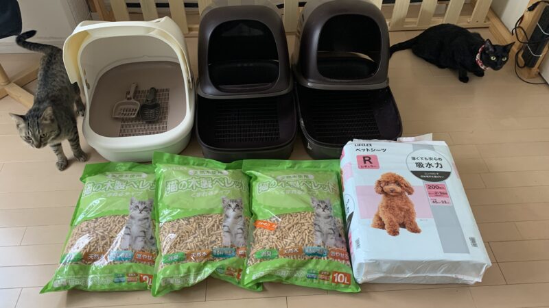 保護猫ジジとくうが写る写真。以前使っていたシステムトイレと木製ペレット猫砂、ペットシーツを保護猫団体に寄付したときの様子。
