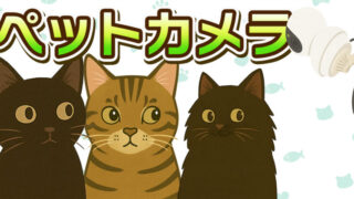 保護猫の黒猫くう・キジトラのジジ・長毛黒猫むーが並んだイラストと、見守り用ペットカメラ。留守中の猫を見守る日常を描いたアイキャッチ画像