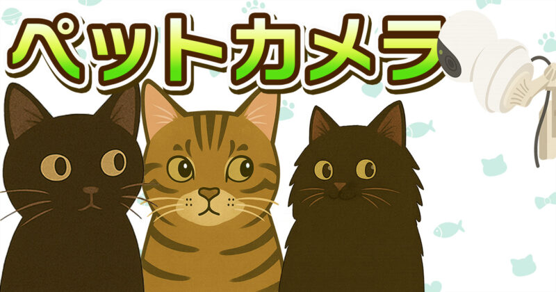 保護猫の黒猫くう・キジトラのジジ・長毛黒猫むーが並んだイラストと、見守り用ペットカメラ。留守中の猫を見守る日常を描いたアイキャッチ画像